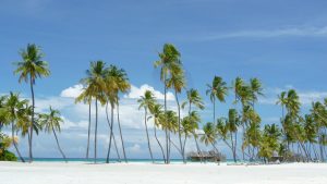 Quelques plages paradisiaques